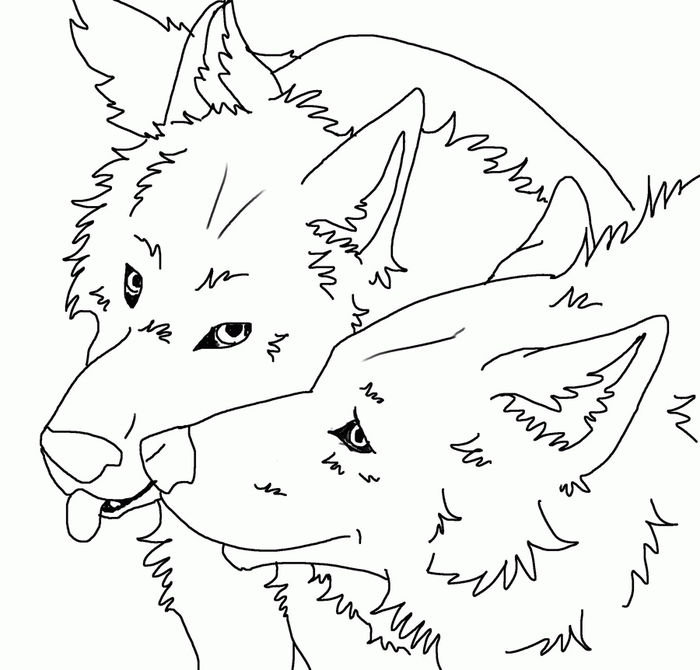 Wolfblood Rhydian And Maddy As Wolves Coloring Pages