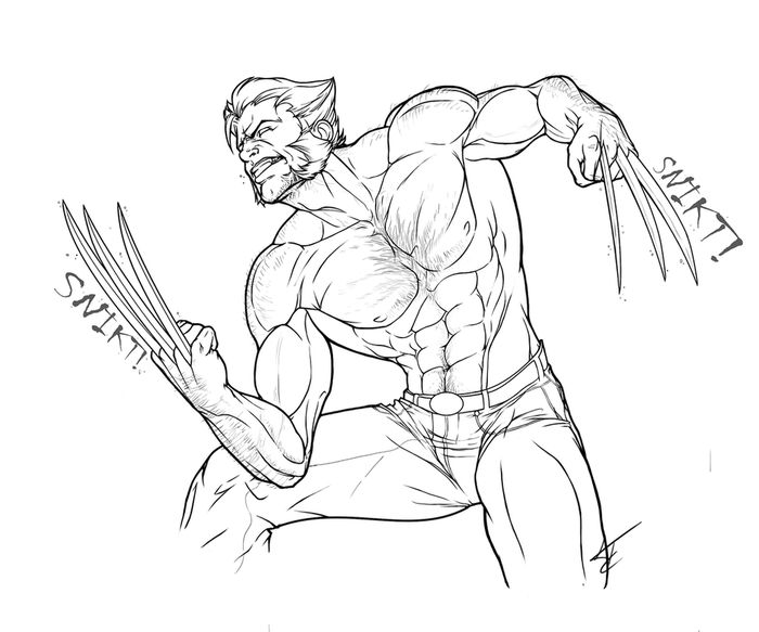 Wolverine Coloring Pages Outline