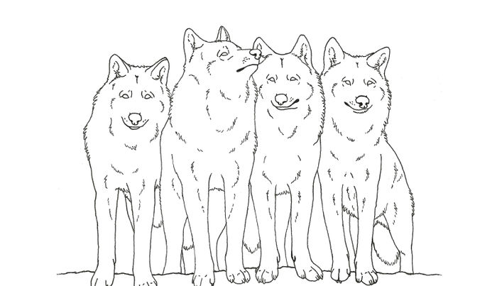 Wolves Numbered Coloring Pages