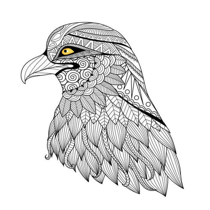 Zentangle Feathers Coloring Pages
