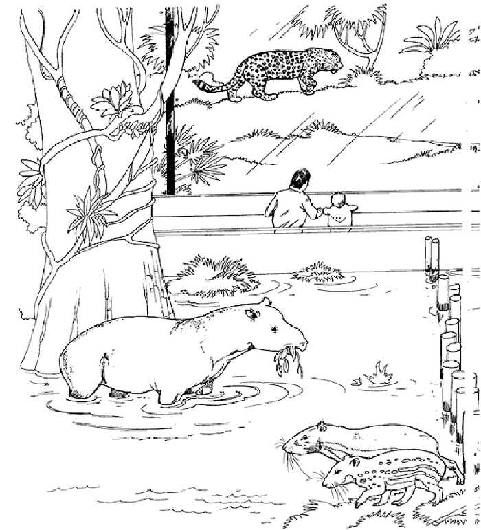 Zoo Animal Coloring Pages