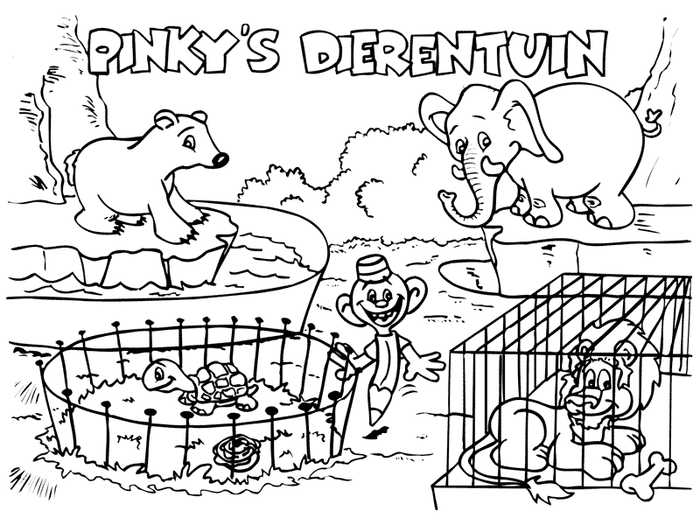 Zoo Animal Coloring Pages Kindergarten