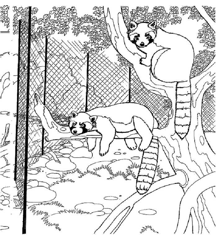 Zoo Animal Coloring Pages Pdf