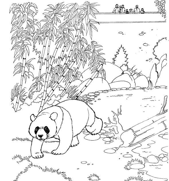 Zoo Coloring Images