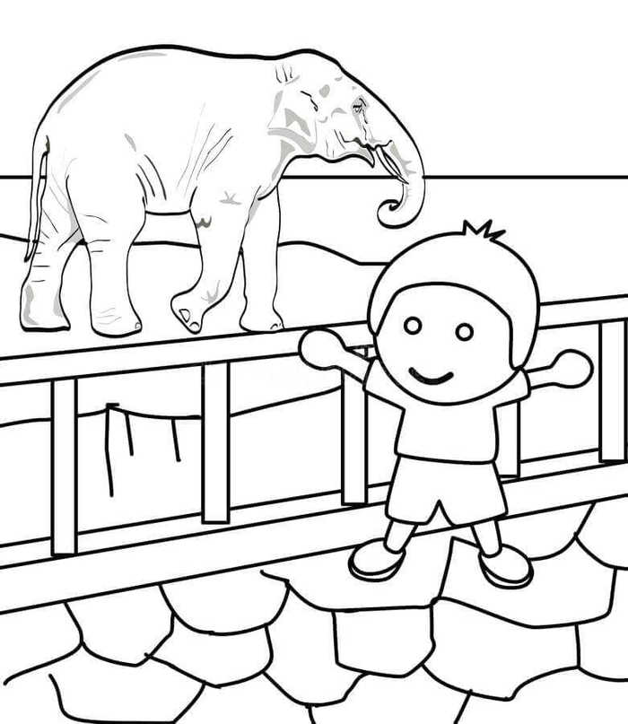 Zoo Coloring Pages To Print