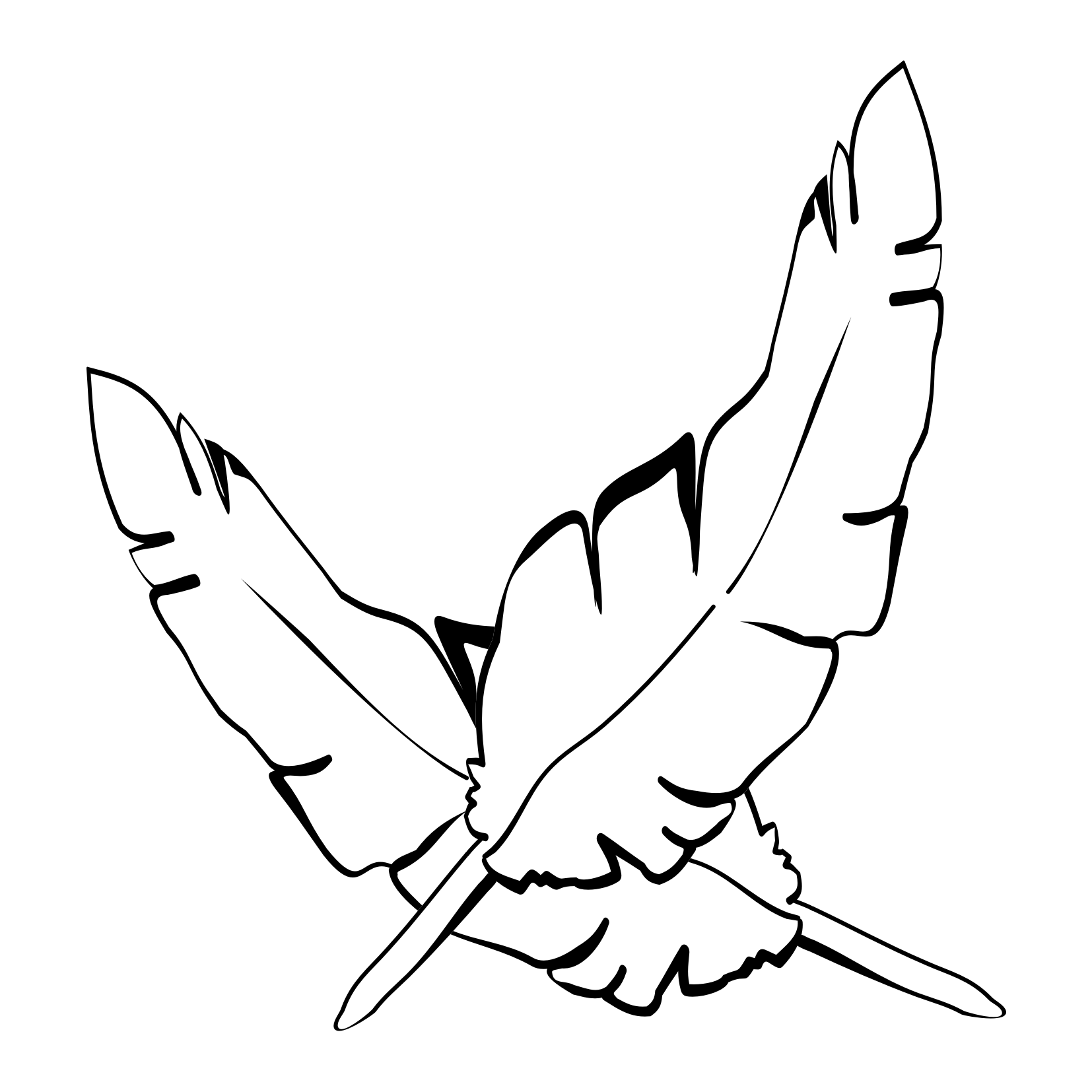 adult feather coloring pages