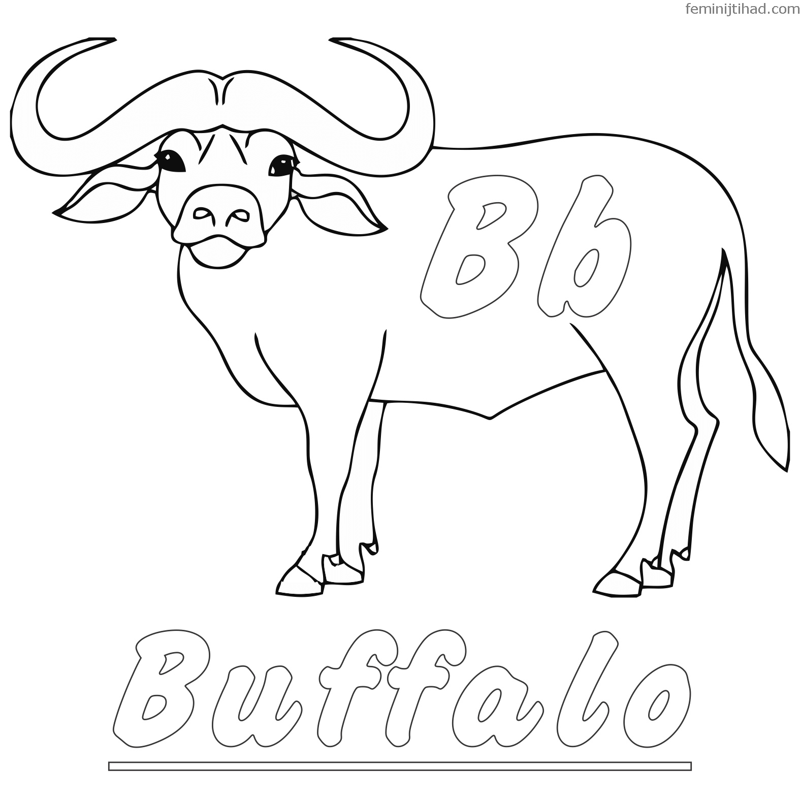 african buffalo coloring page