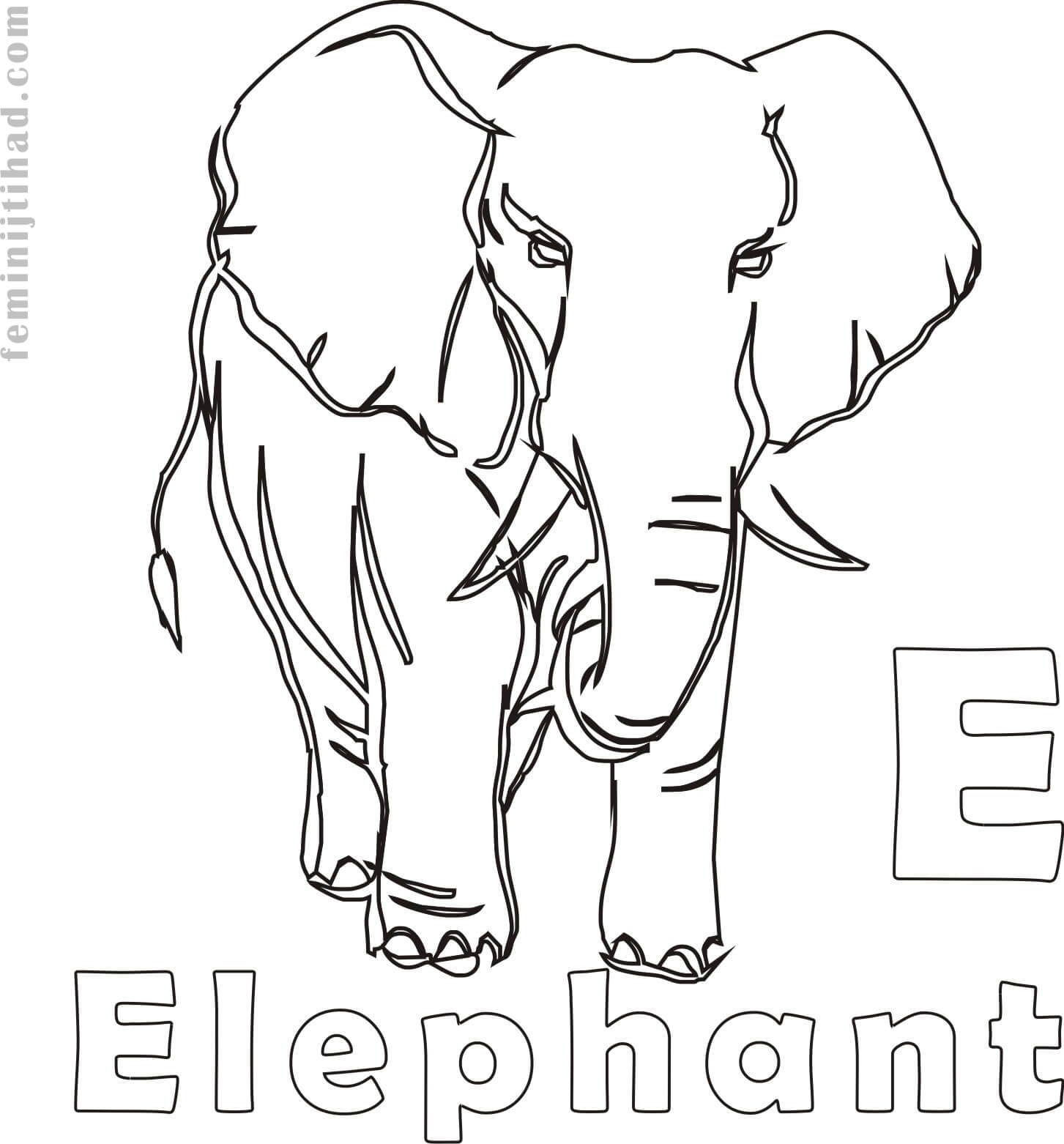 african elephant coloring page