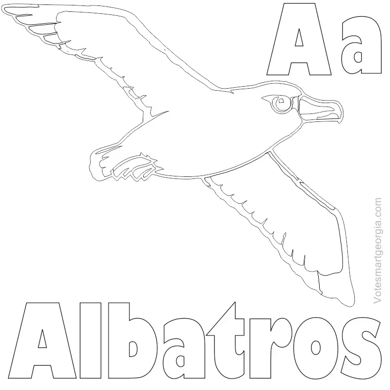 albatross coloring pages