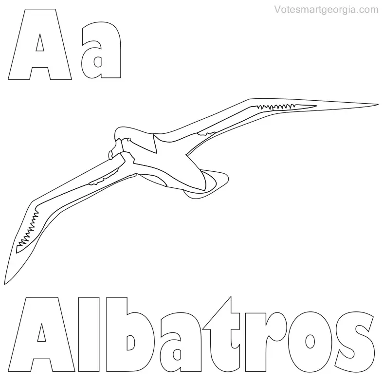 beautiful albatross coloring pages free download