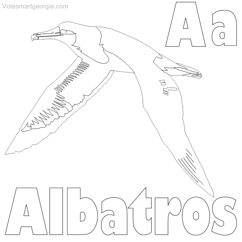 free albatross coloring pages