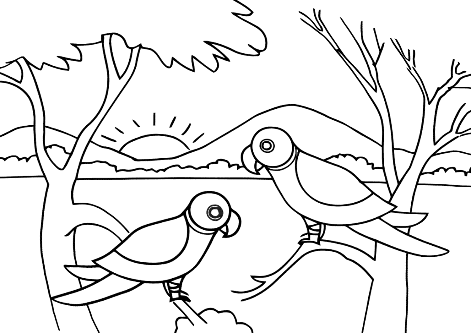 jungle coloring pages for kids