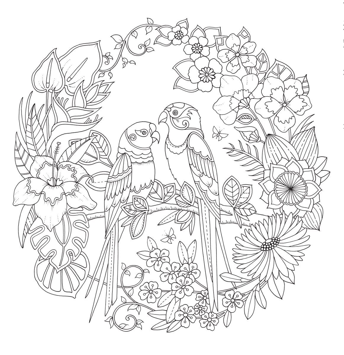 magical jungle coloring book pages