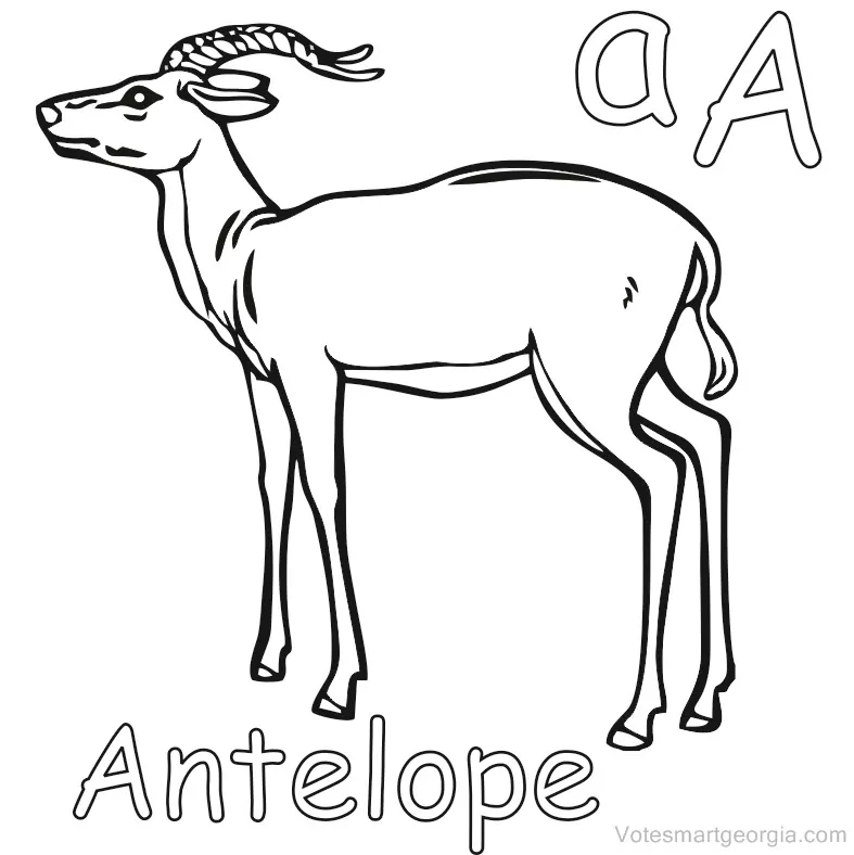 pronghorn antelope coloring pages