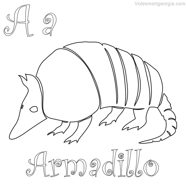 armadillo coloring pages free