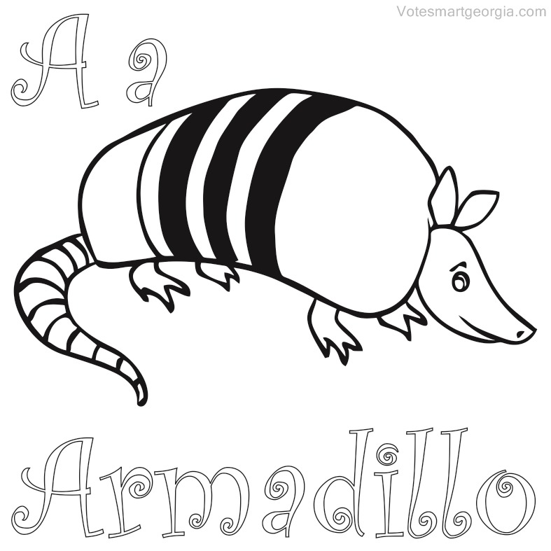 armadillo printable coloring pages