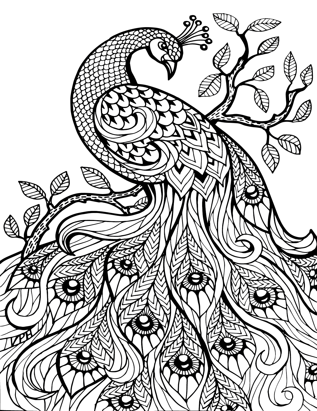 colouring pages for adults of animals detailed coloring pages free detailed coloring pages of animals