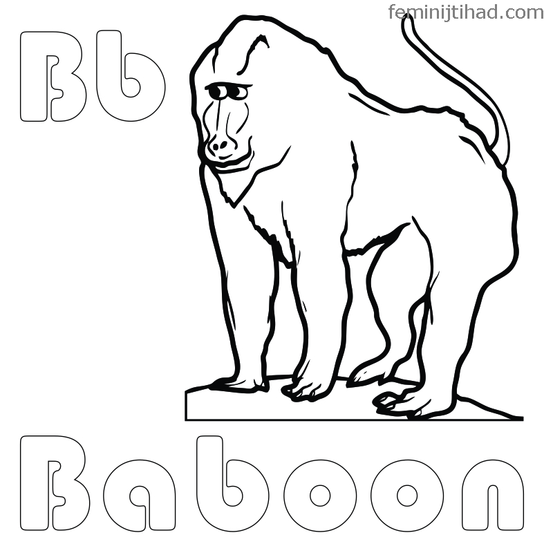 baboon coloring pages online