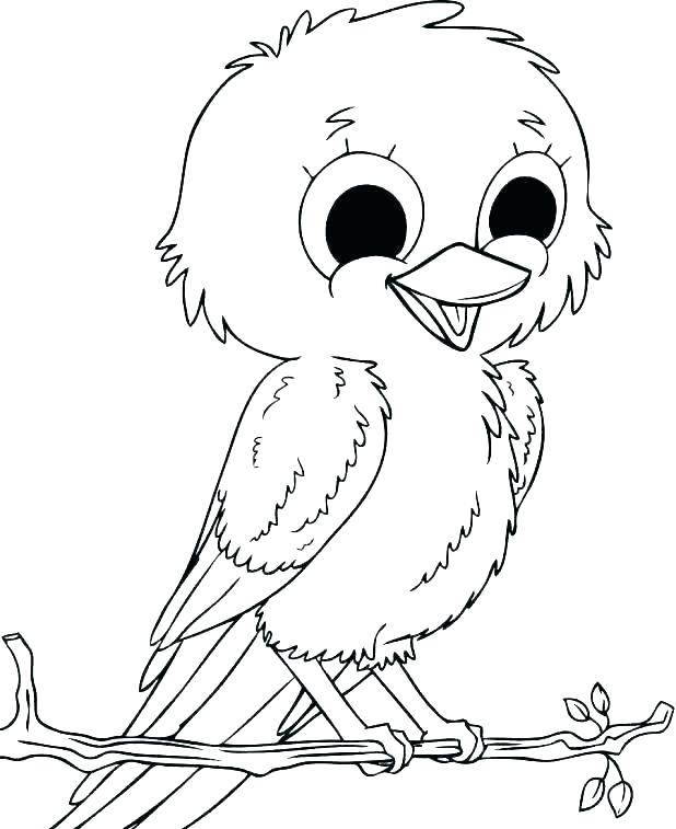 baby bird coloring pages