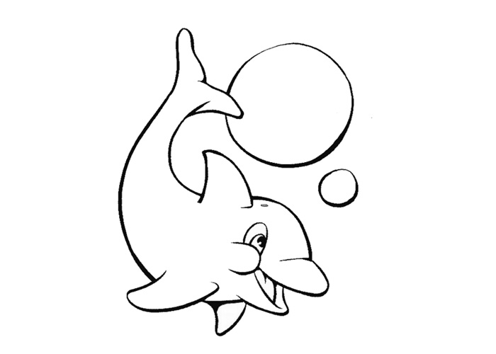 baby dolphin coloring pages