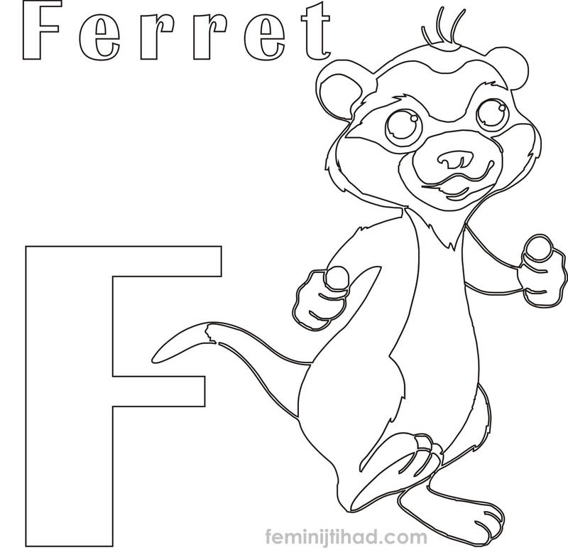 baby ferret coloring pages
