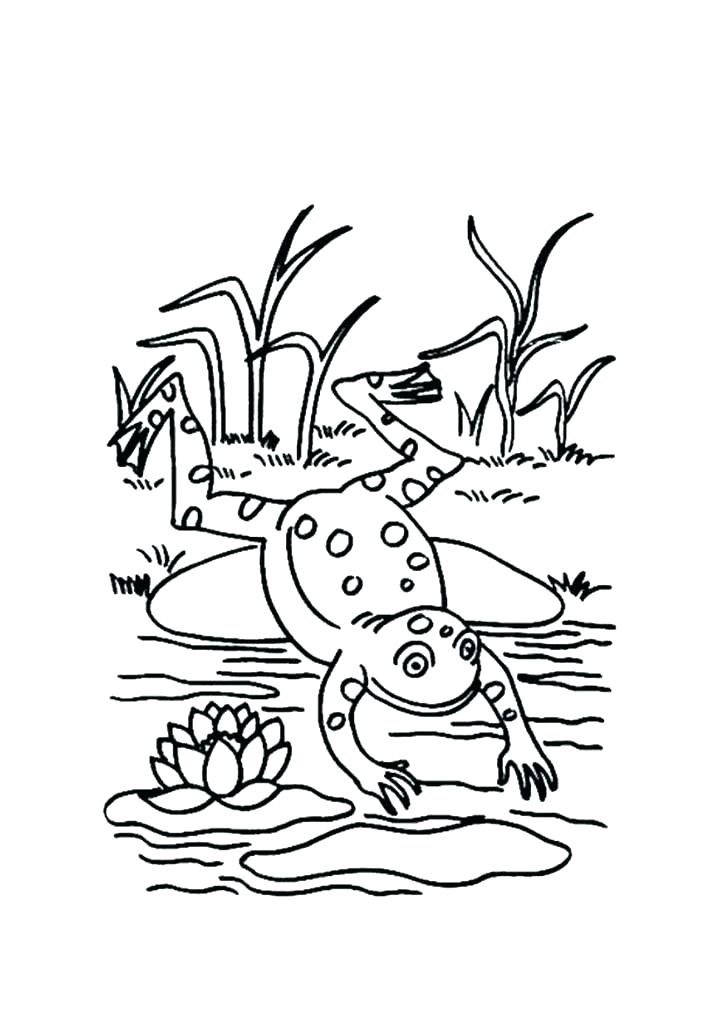 baby frog coloring pages