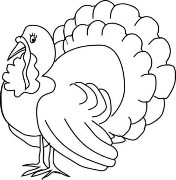 baby turkey coloring pages