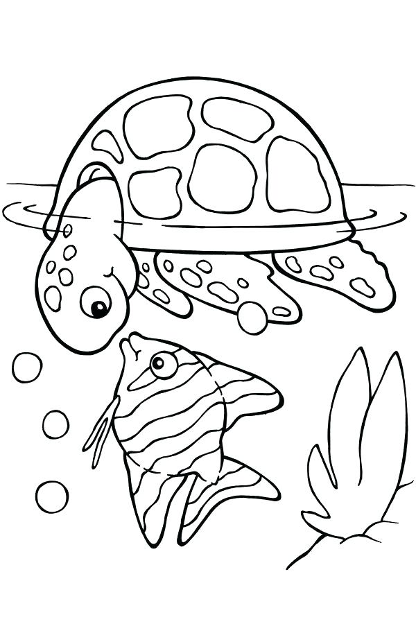 baby turtle coloring pages to print