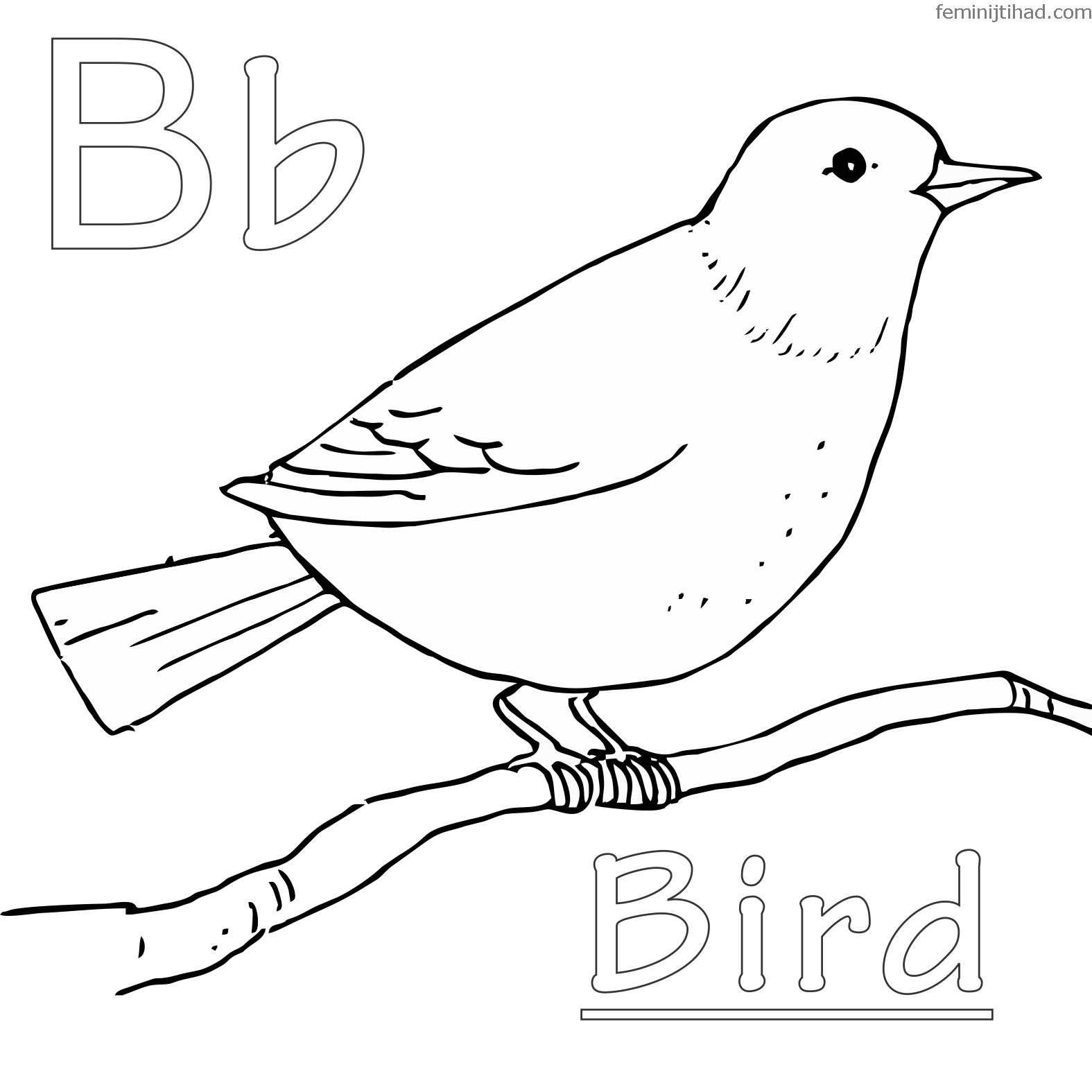 backyard bird coloring page