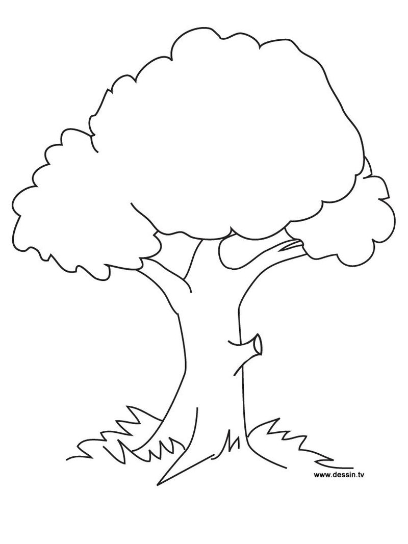 bare tree coloring pages