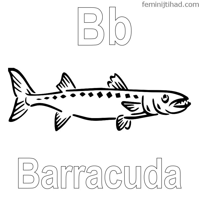 barracuda fish coloring page