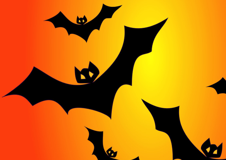 bat coloring pdf