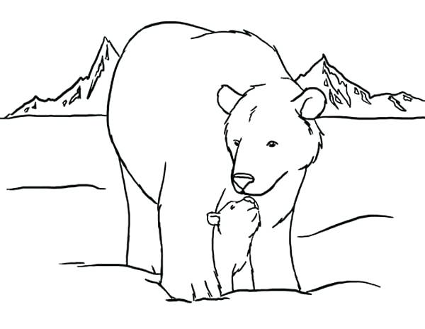 bear faces coloring pages