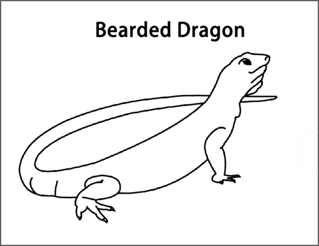 bearded dragon coloring pages