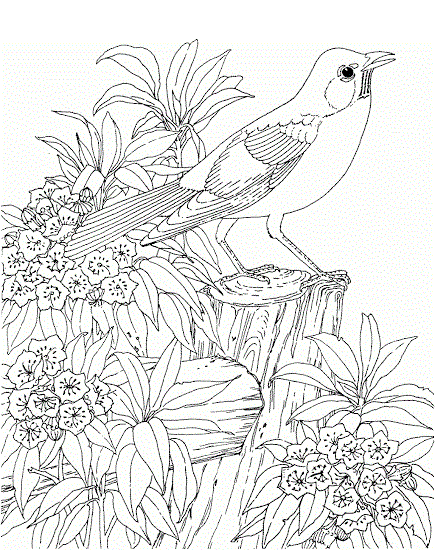 nature adult coloring pages