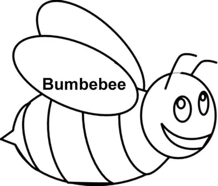 bumble bee coloring pages