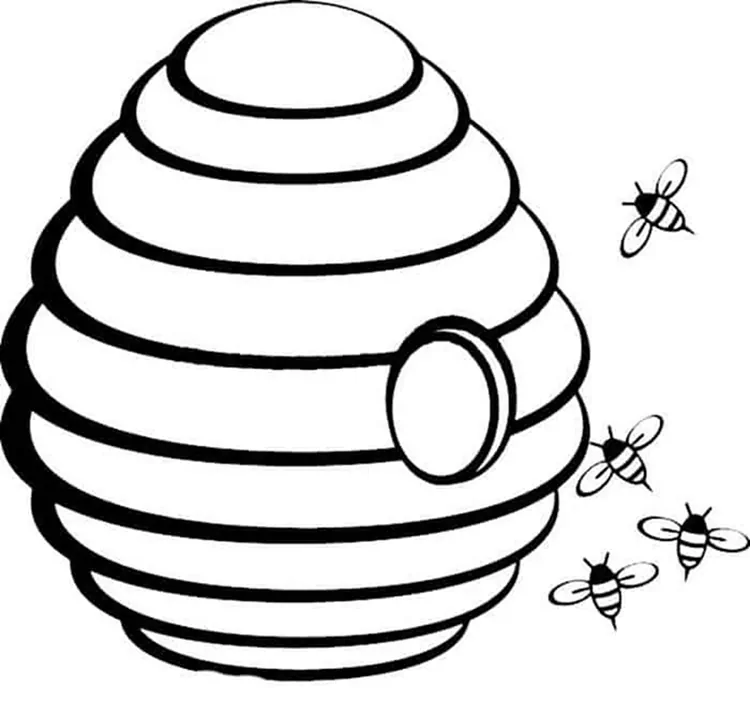 honey bee coloring pages