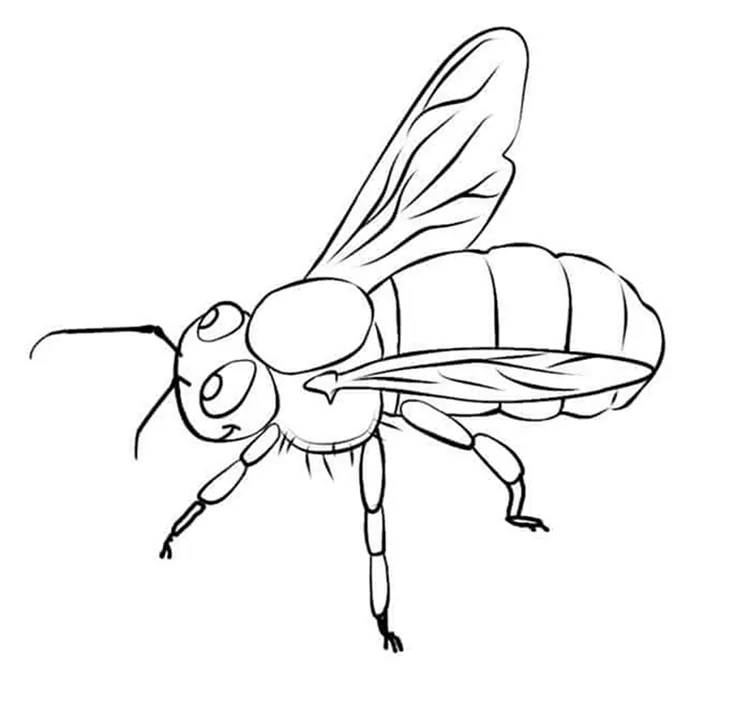 real bee coloring pages