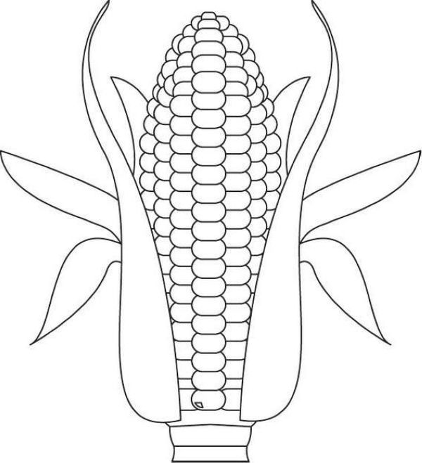 best corn coloring activity