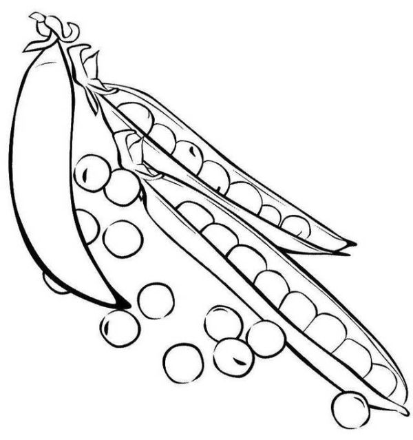 best peas coloring page