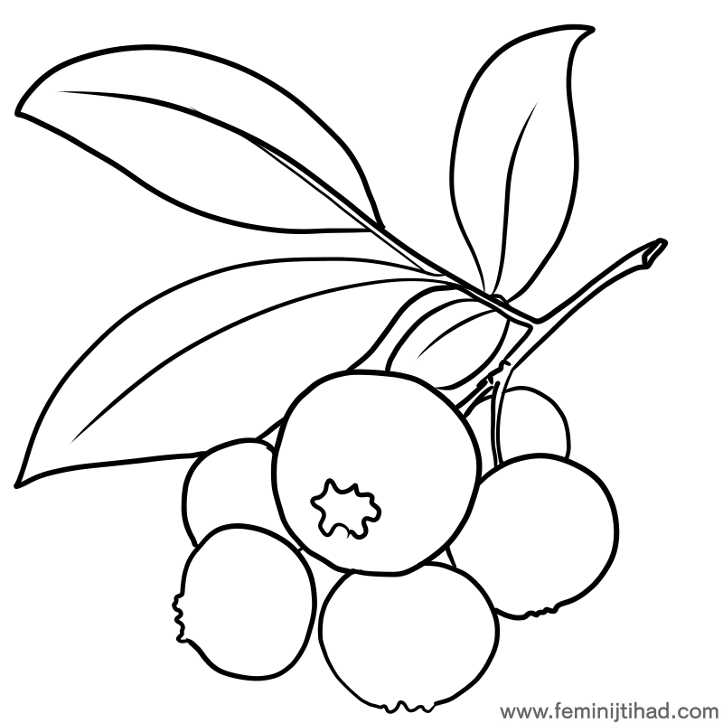 bilberry coloring sheets for kids