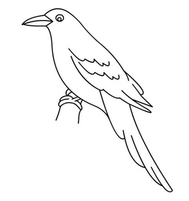 bird coloring pages for kids