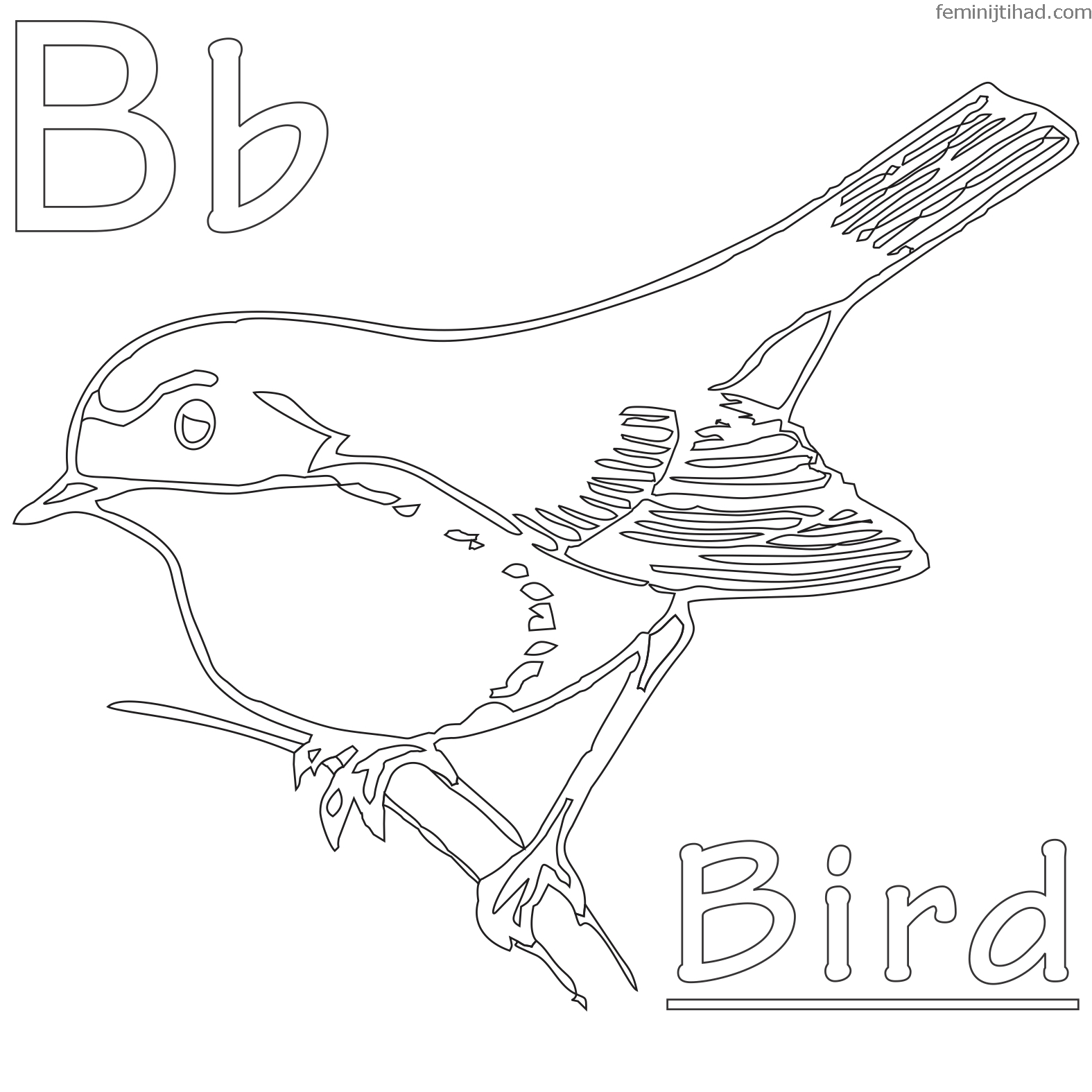 bird coloring pages realistic