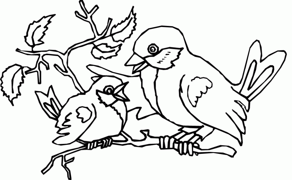 bird coloring pages to print