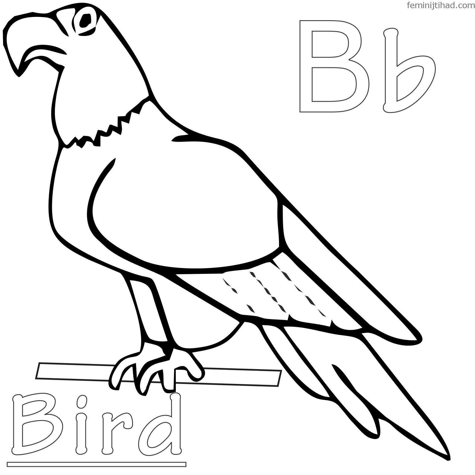 bird coloring sheets free printable