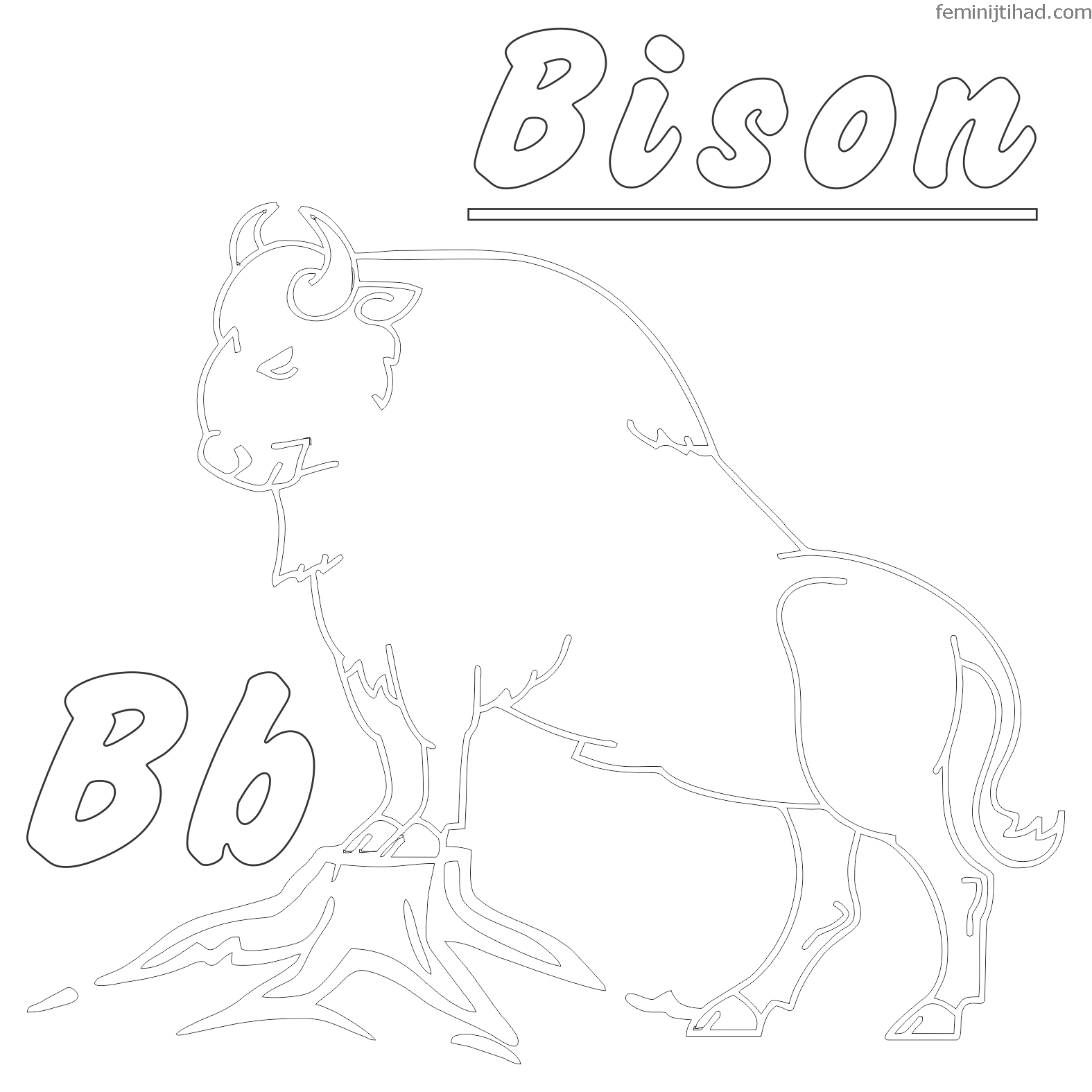 bison coloring pages free