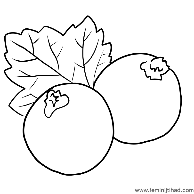 Easy Black Currant Coloring Pages PDF For Kids - Coloringfolder.com