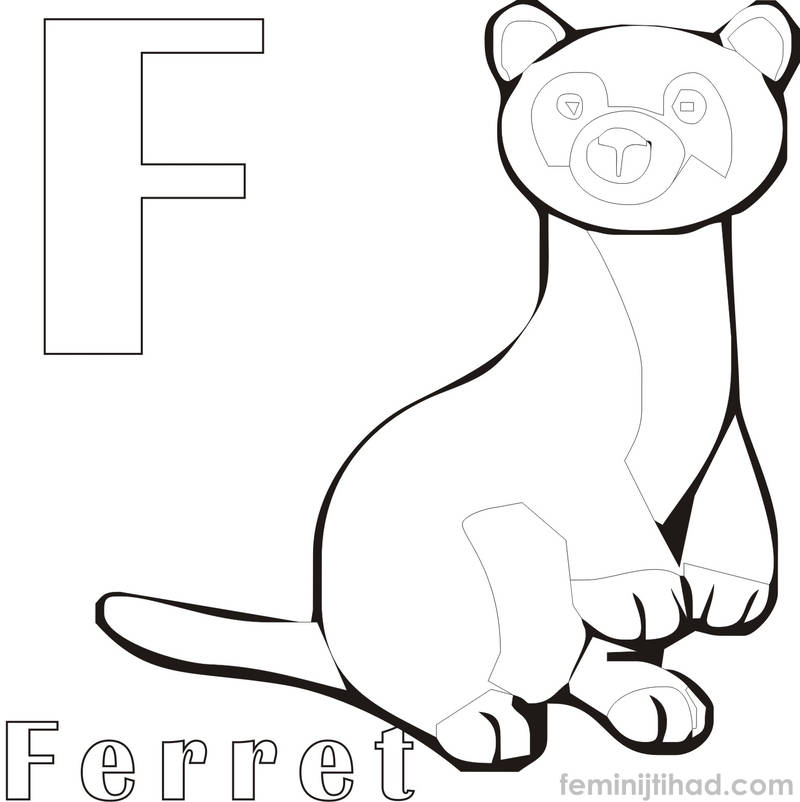 black footed ferret coloring pages