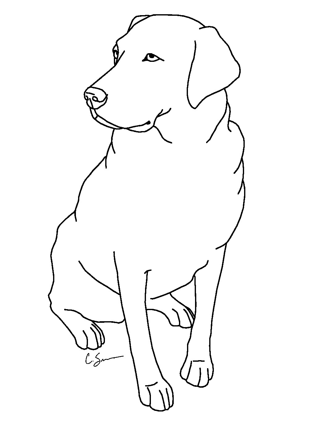 black lab dog coloring pages