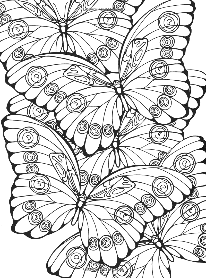 butterfly coloring pages for adults